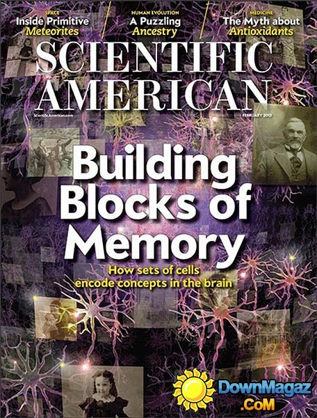 Scientific American - February 2013 Scientific American - February 2013
