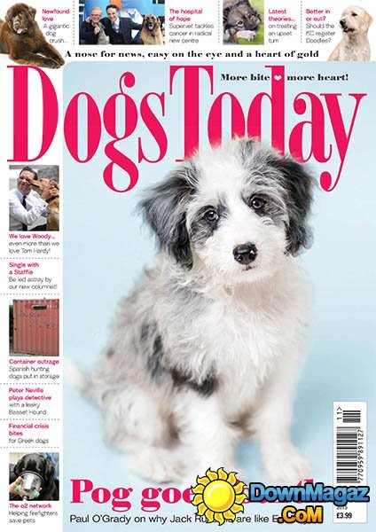Dogs Today UK - November 2015 Dogs Today UK - November 2015