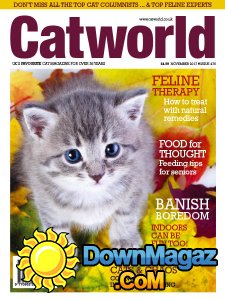 Cat World - 11.2017 Cat World - 11.2017