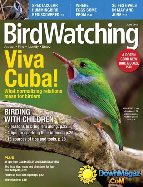 Bird Watching - June 2015