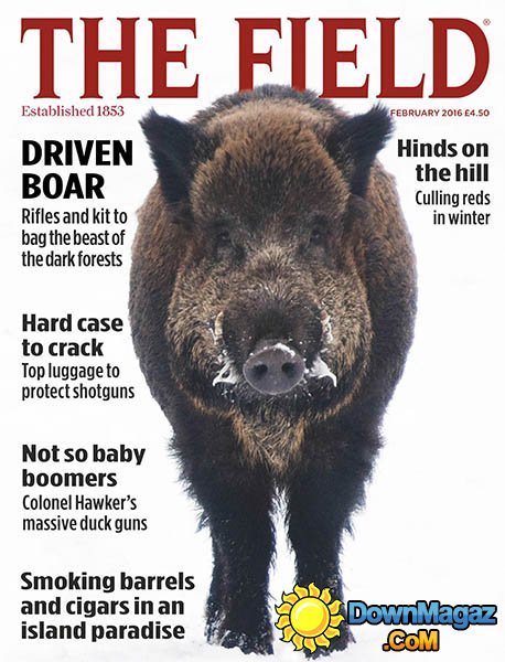 The Field UK - February 2016 The Field UK - February 2016