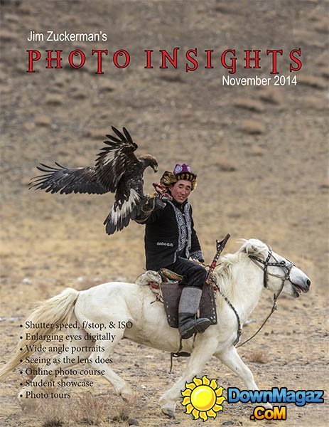 Photo Insights - November 2014