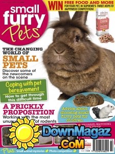 Small Furry Pets - 03/04 2017 Small Furry Pets - 03/04 2017