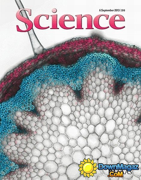 Science - 6 September 2013 Science - 6 September 2013
