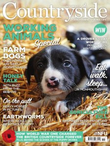 Countryside - 11.2018 Countryside - 11.2018