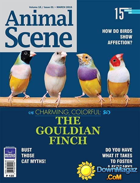 Animal Scene - March 2015 Animal Scene - March 2015