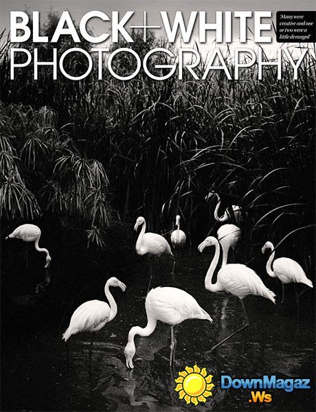 Black + White Photography - March 2013