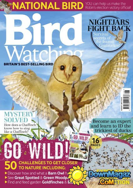 Bird Watching UK - August 2015 Bird Watching UK - August 2015