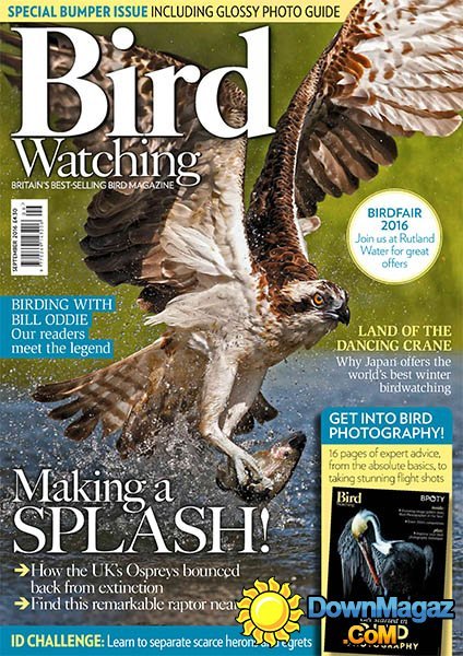 Bird Watching UK - September 2016