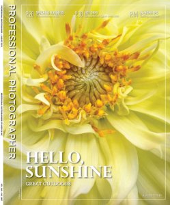 Professional Photographer - 08.2019 Professional Photographer - 08.2019