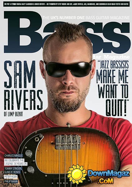 Bass Guitar - January 2014