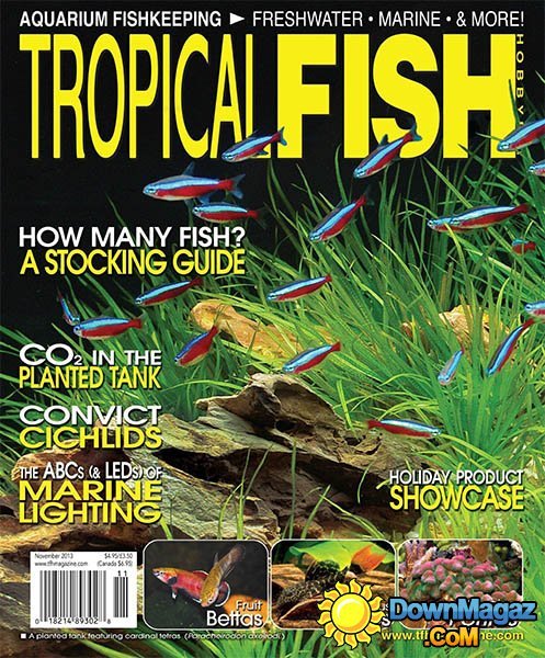 Tropical Fish Hobbyist - November 2013 Tropical Fish Hobbyist - November 2013