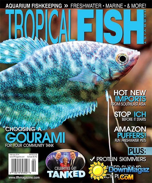 Tropical Fish Hobbyist - February 2014 Tropical Fish Hobbyist - February 2014