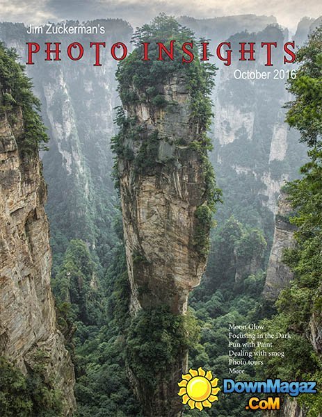 Photo insights - October 2016