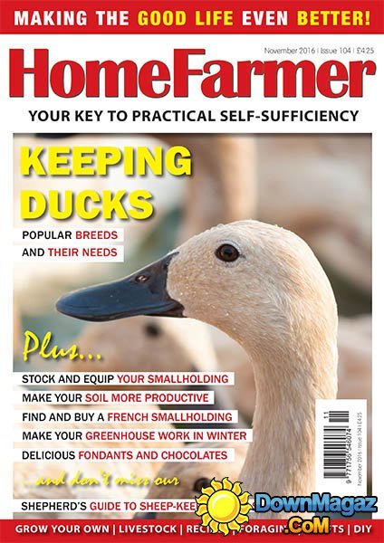 Home Farmer - November 2016 Home Farmer - November 2016