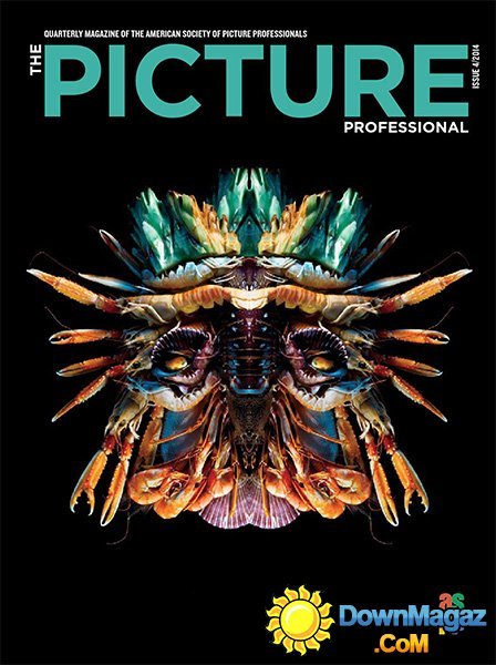 The Picture Professional - Winter 2014/2015 The Picture Professional - Winter 2014/2015
