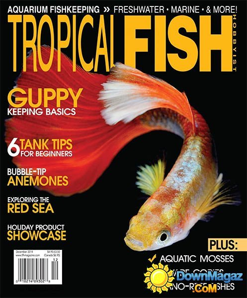 Tropical Fish Hobbyist - December 2014 Tropical Fish Hobbyist - December 2014