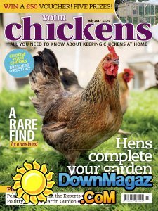 Your Chickens - 07.2017 Your Chickens - 07.2017