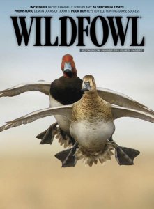 Wildfowl - 11.2019 Wildfowl - 11.2019