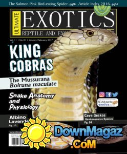 Ultimate Exotics - 01/02 2017 Ultimate Exotics - 01/02 2017
