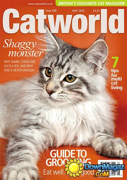 Catworld - May 2016 Catworld - May 2016