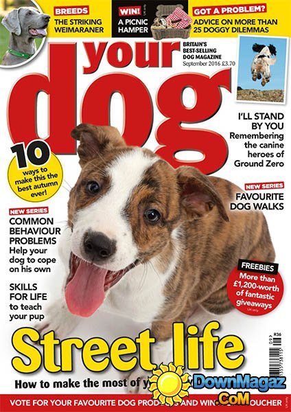 Your Dog - September 2016 Your Dog - September 2016