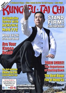 Kung Fu Tai Chi - Summer 2019 Kung Fu Tai Chi - Summer 2019