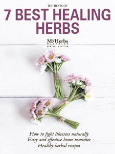 My Herbs - 7 Best Healing Herbs 2018 My Herbs - 7 Best Healing Herbs 2018