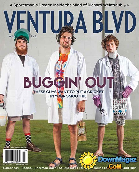 Ventura Blvd USA - November 2015 Ventura Blvd USA - November 2015