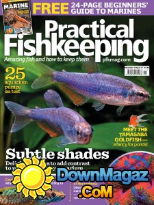 Practical Fishkeeping - 11.2017 Practical Fishkeeping - 11.2017
