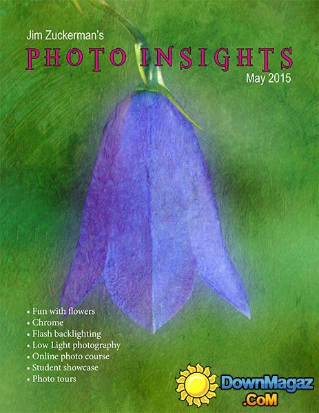 Photo insights - May 2015