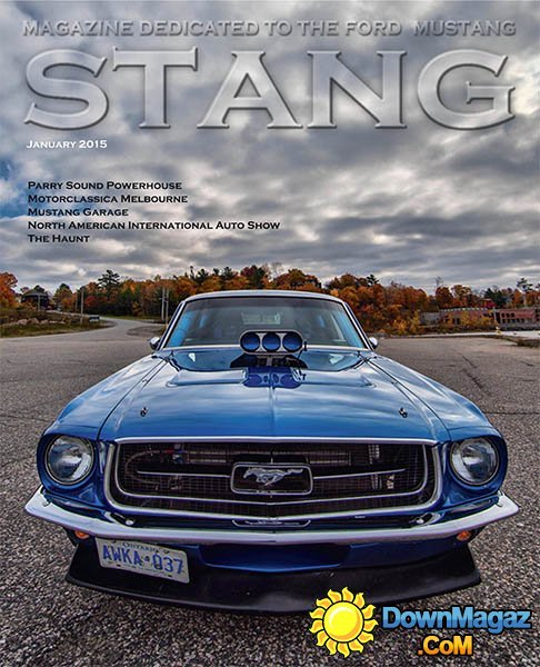 Stang - January 2015
