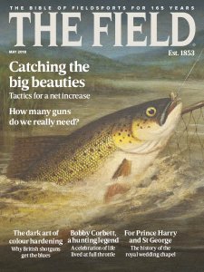 The Field - 05.2018 The Field - 05.2018