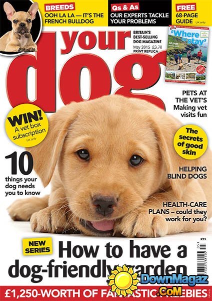 Your Dog UK - May 2015