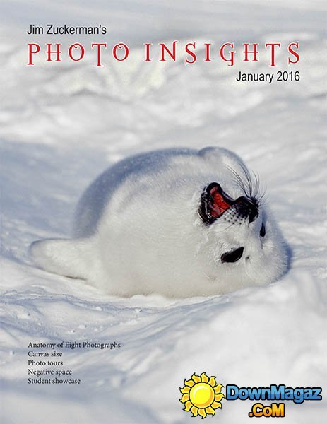 Photo insights USA - January 2016