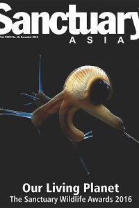Sanctuary Asia - 12.2016 Sanctuary Asia - 12.2016
