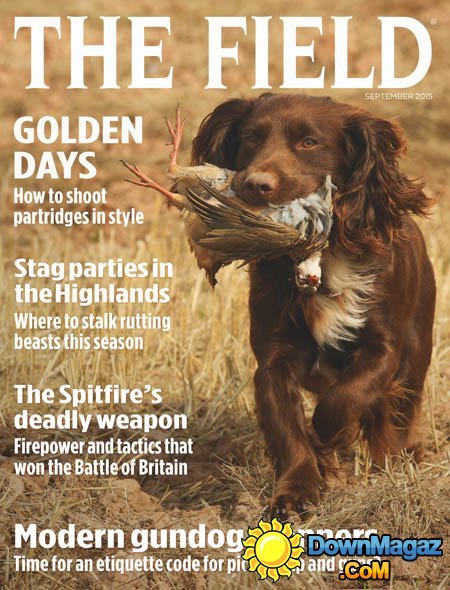 The Field UK - September 2015 The Field UK - September 2015