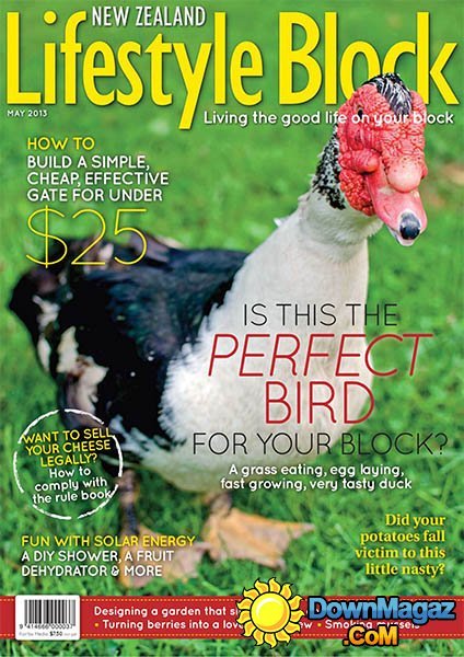 NZ Lifestyle Block - May 2013 NZ Lifestyle Block - May 2013