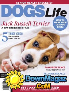 Dogs Life - 09/10 2017 Dogs Life - 09/10 2017