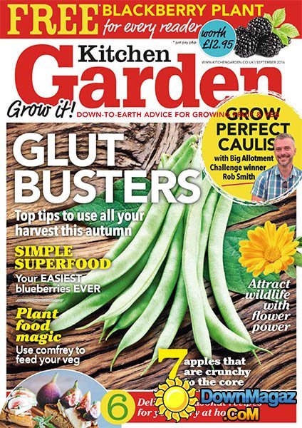 Kitchen Garden - September 2016 Kitchen Garden - September 2016