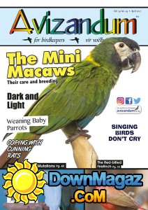 Avizandum - 04.2017 Avizandum - 04.2017