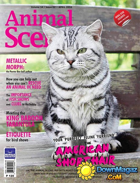 Animal Scene - April 2016 Animal Scene - April 2016