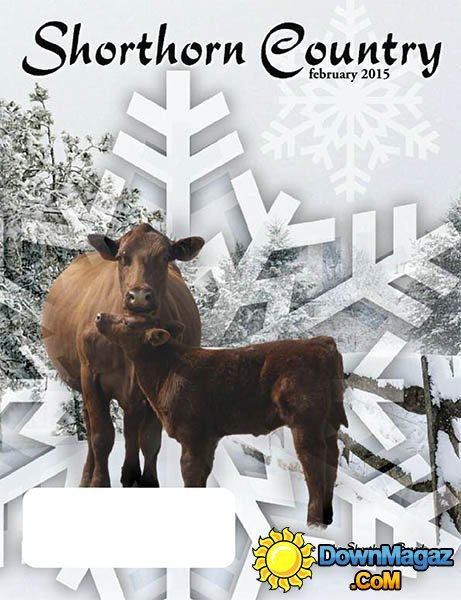 Shorthorn Country - February 2015