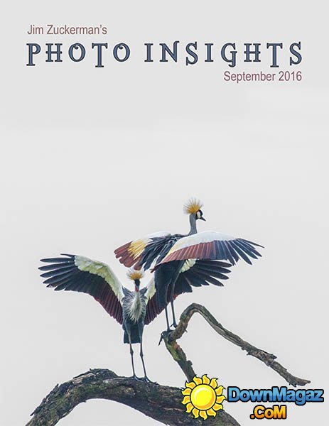 Photo insights - September 2016