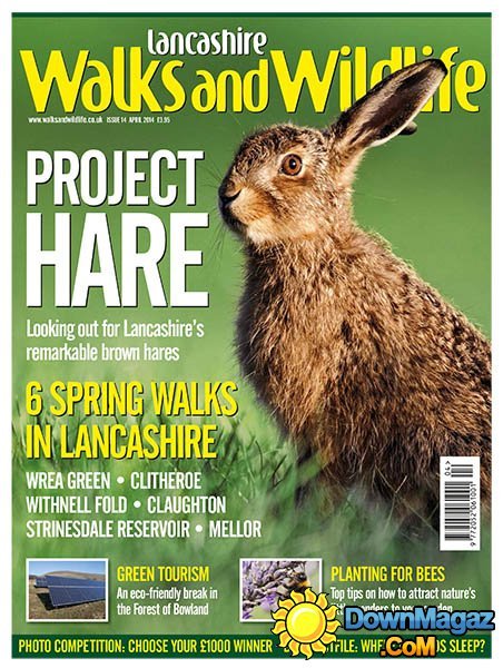 Lancashire Walks and Wildlife - April 2014