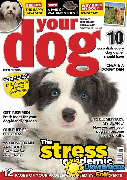 Your Dog UK - November 2015