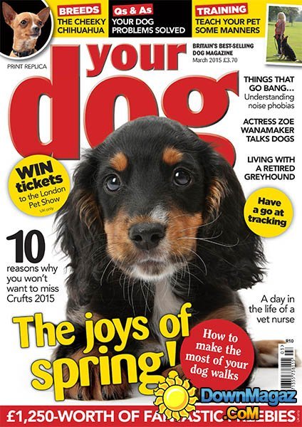 Your Dog - March 2015