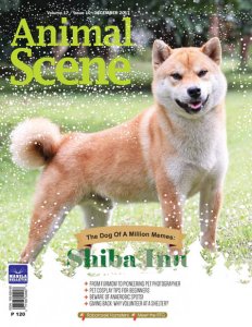 Animal Scene - 12.2017 Animal Scene - 12.2017