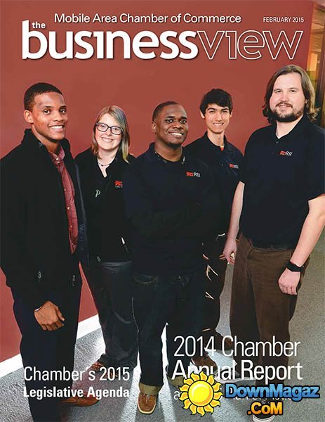 The Business View - February 2015