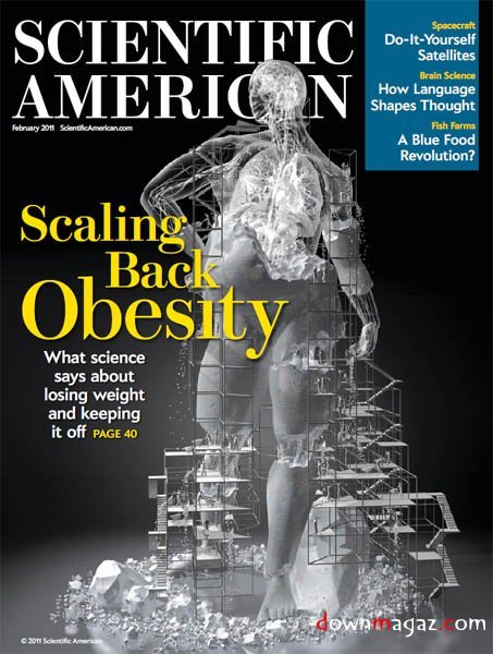 Scientific American - February 2011 Scientific American - February 2011